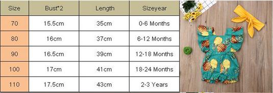 Newborn Baby Girl Clothes Fly